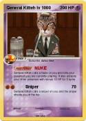 General Kitteh