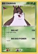 BIG CHUNGUS