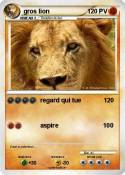 gros lion