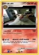 chill cat