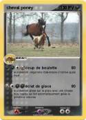 cheval poney