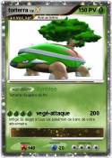 torterra