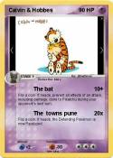 Calvin & Hobbes
