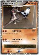 kung fu cat