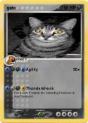gato