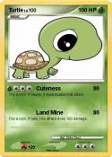 Turtle