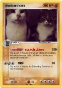 charizard cats