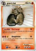 grand chat