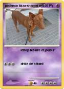 podenco ibiza-s