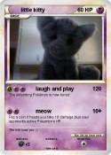 little kitty
