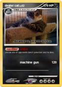 dealer cat