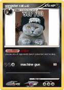 gangster cat