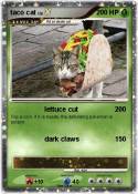 taco cat