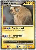 Lightning dog
