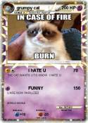 grumpy cat