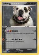 bulldogg