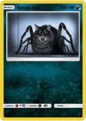 Spider Cat