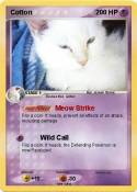 Cotton