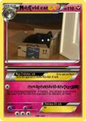 d;f[vld cat