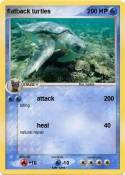 flatback turtle