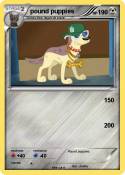 pound puppies