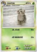 CHATON