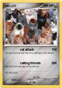 cat
