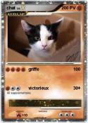 chat
