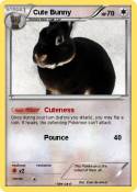 Cute Bunny