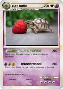 cute turtle