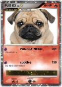 PUG EX