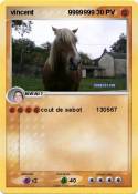 vincent 9999999
