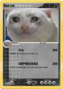 Sad cat
