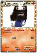 lapin chabal 96