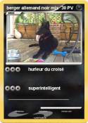 berger allemand