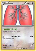 Lungs
