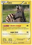 zebra