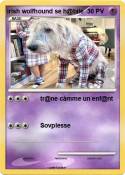 irish wolfhound