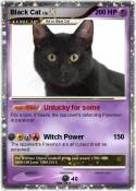Black Cat