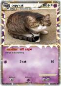 copy cat