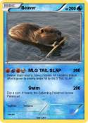 Beaver