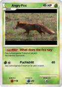 Angry Fox