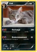 Chat