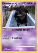 rottweiler qui