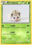 tiny hedgehog