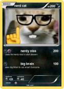 nerd cat