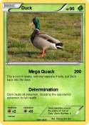 Duck