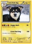 i love that dog