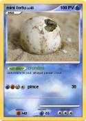 mini tortu
