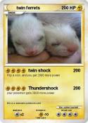 twin ferrets
